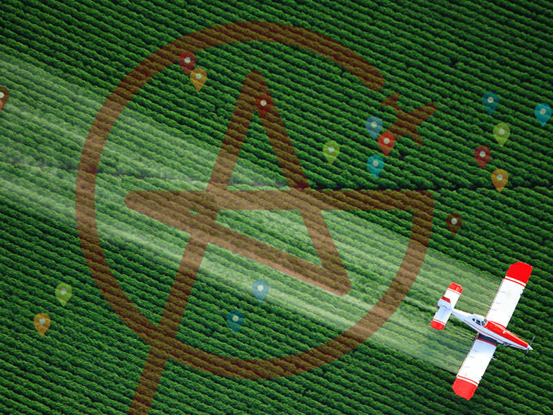 Personal Portfolio Images